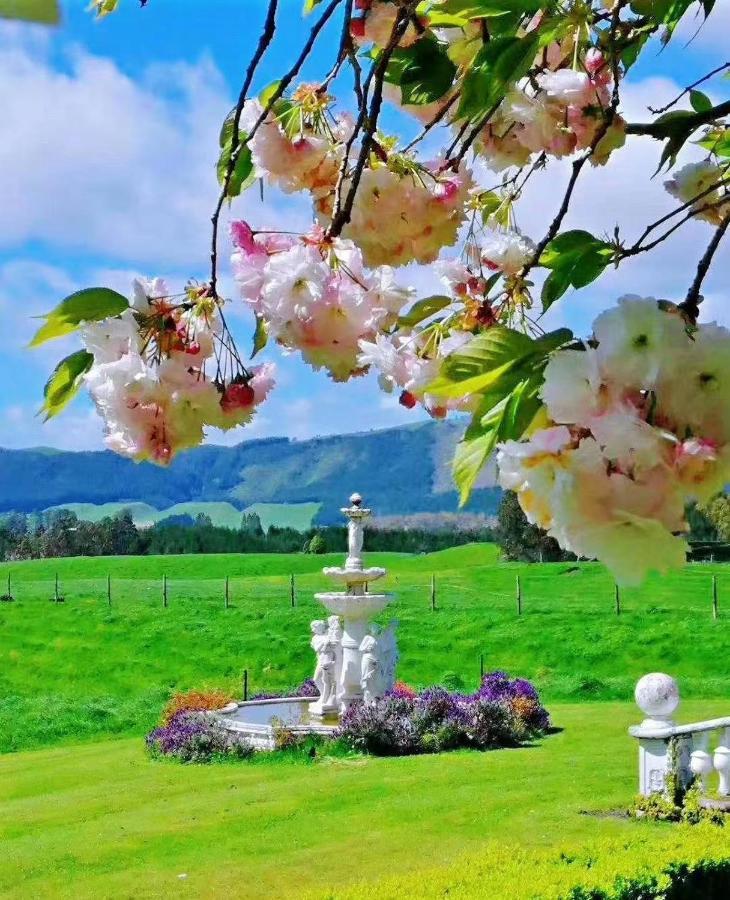Country Villa Estate Ngongotaha 외부 사진