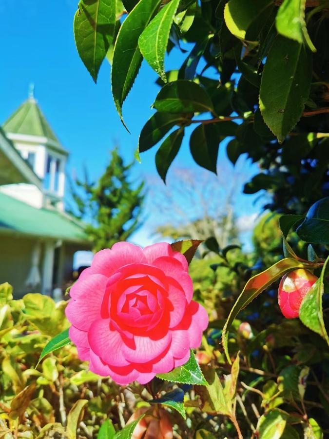 Country Villa Estate Ngongotaha 외부 사진