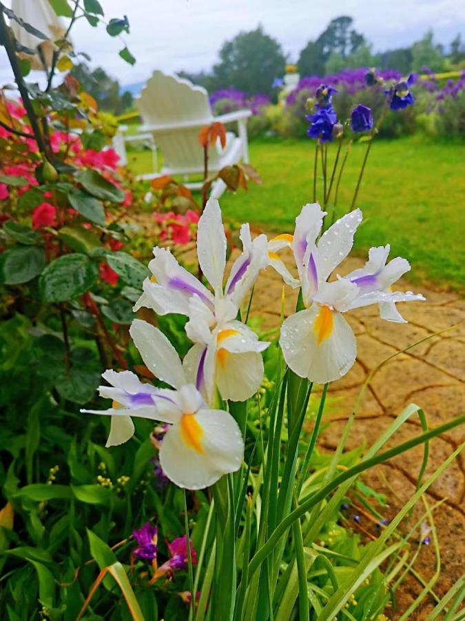 Country Villa Estate Ngongotaha 외부 사진