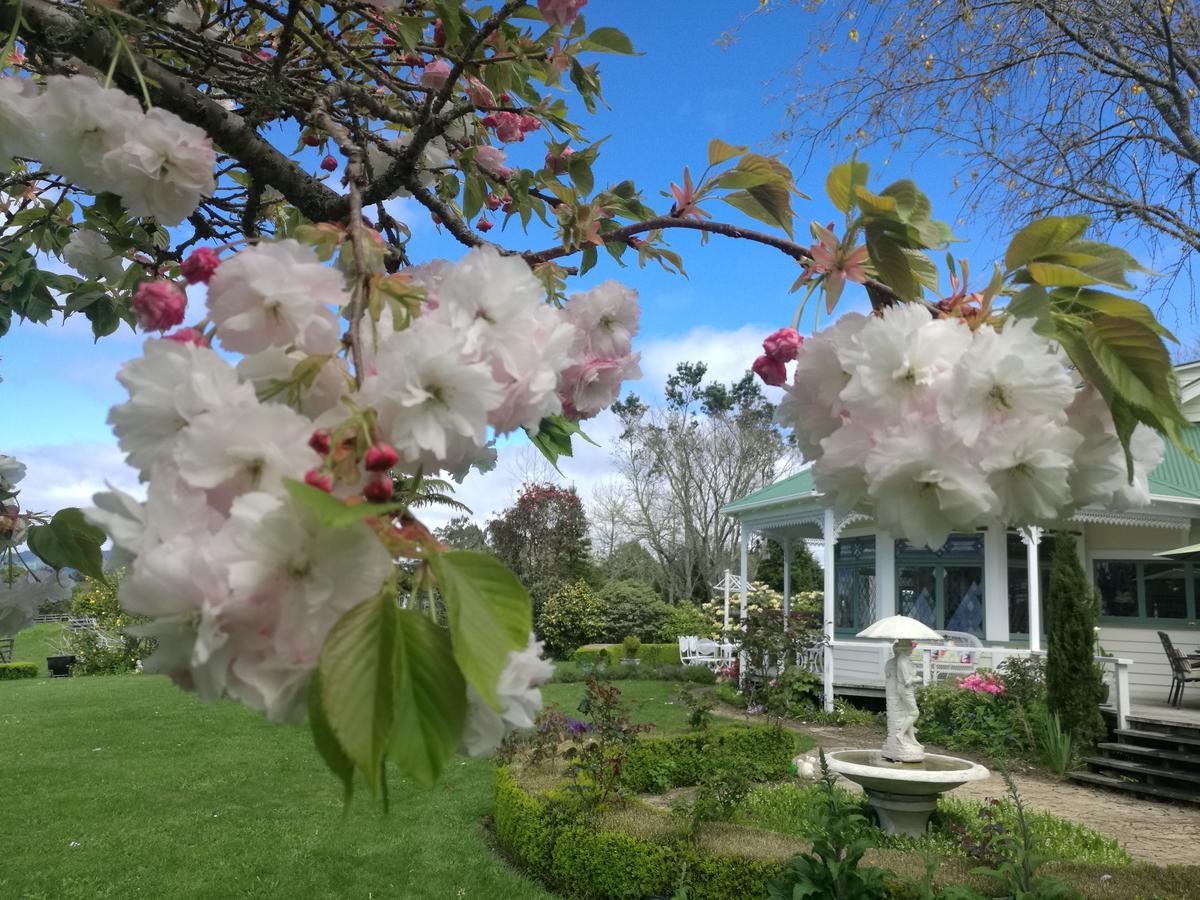 Country Villa Estate Ngongotaha 외부 사진