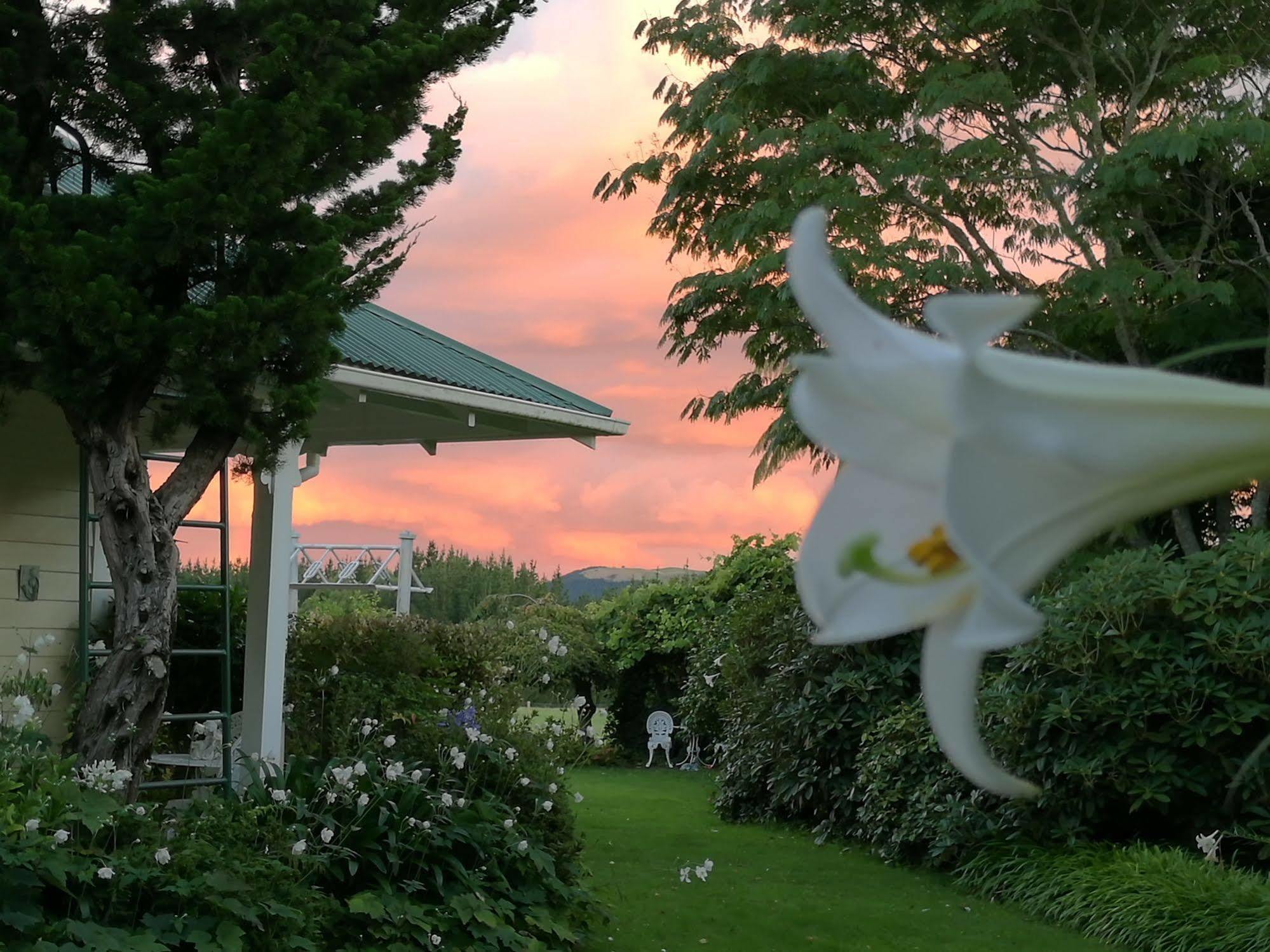 Country Villa Estate Ngongotaha 외부 사진