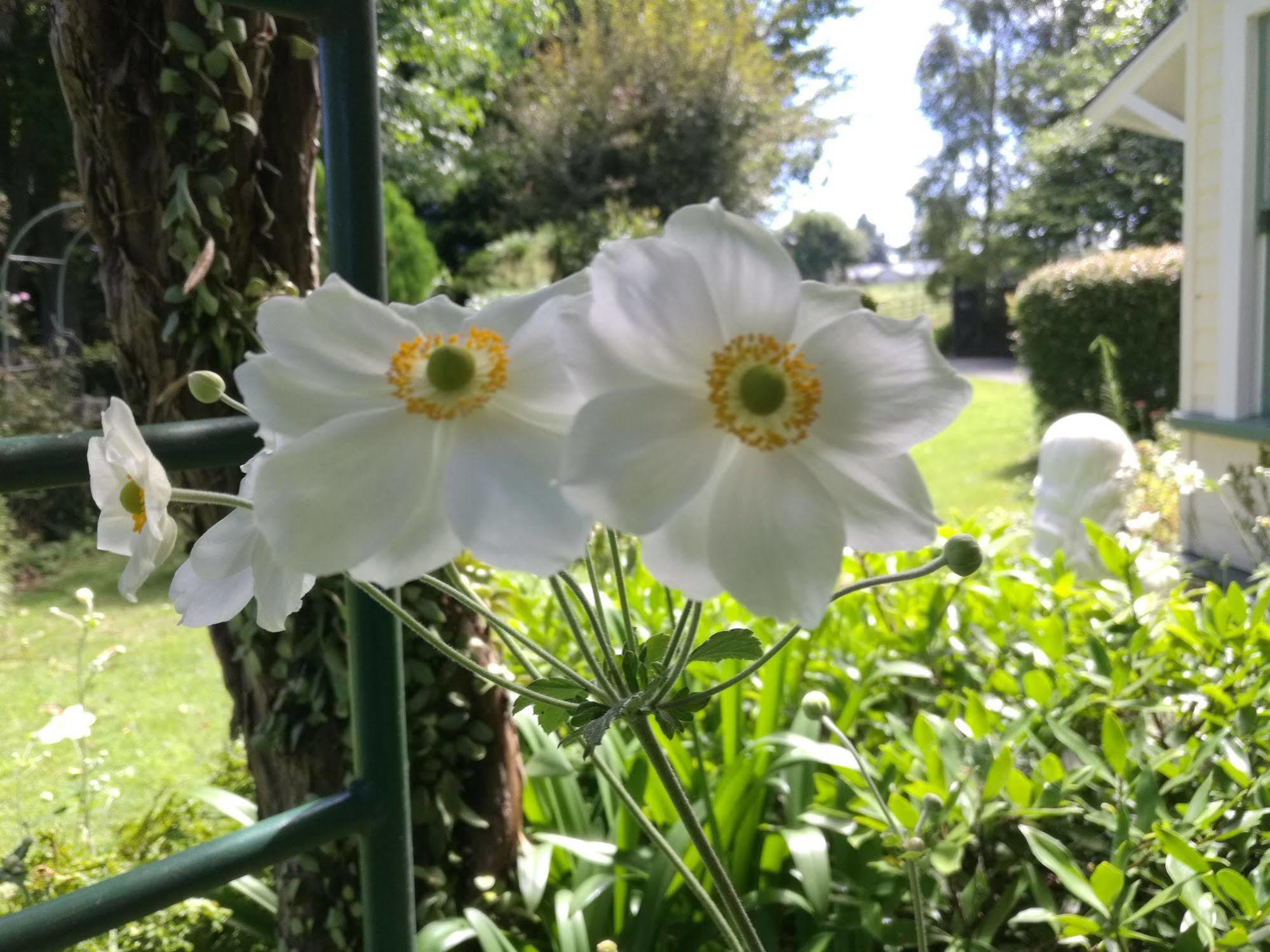 Country Villa Estate Ngongotaha 외부 사진