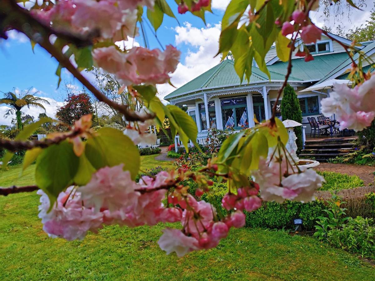 Country Villa Estate Ngongotaha 외부 사진